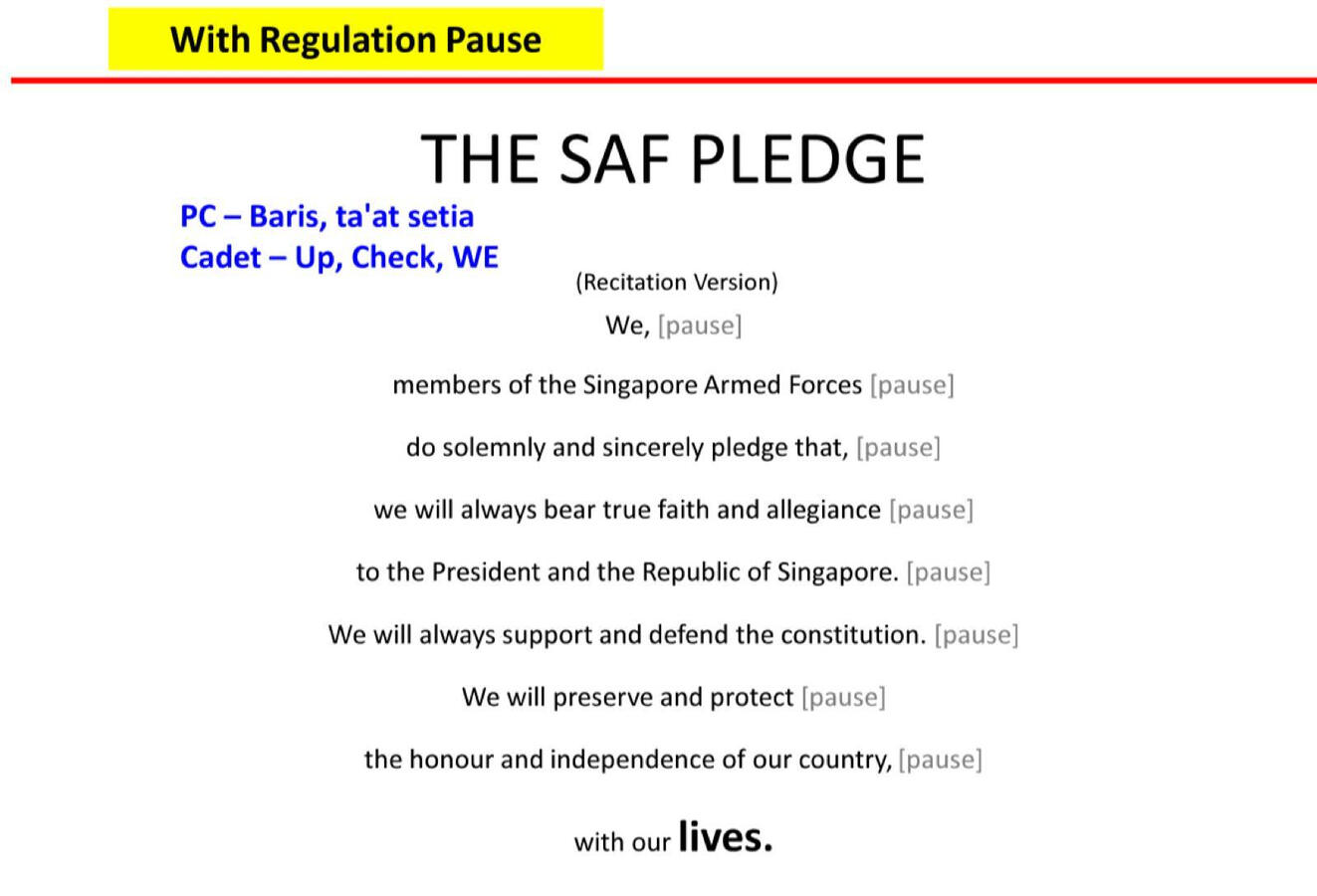 SAF Pledge